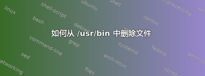 如何从 /usr/bin 中删除文件