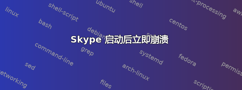 Skype 启动后立即崩溃