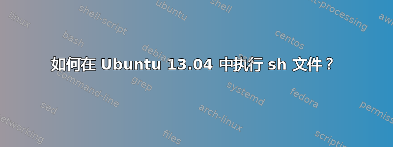 如何在 Ubuntu 13.04 中执行 sh 文件？