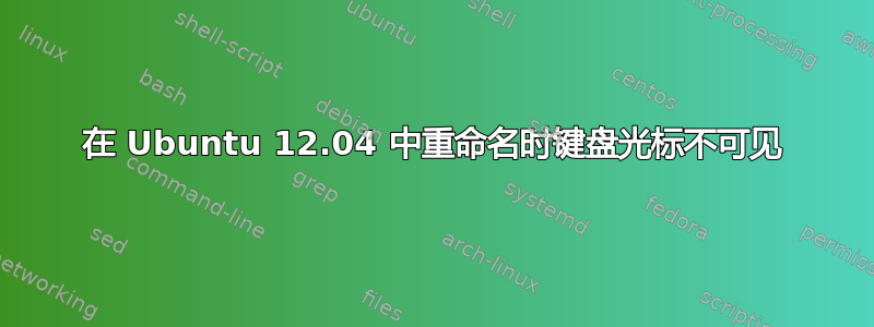 在 Ubuntu 12.04 中重命名时键盘光标不可见