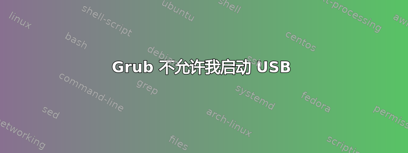 Grub 不允许我启动 USB