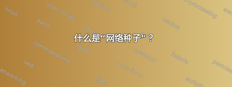 什么是“网络种子”？