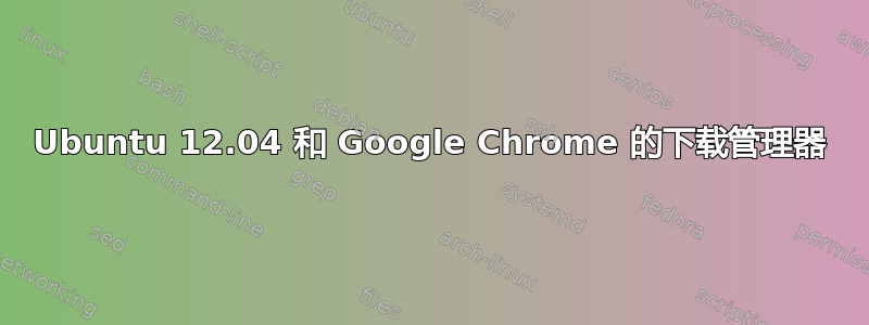 Ubuntu 12.04 和 Google Chrome 的下载管理器