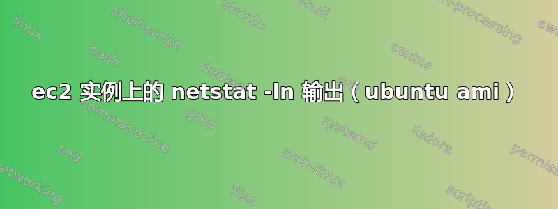 ec2 实例上的 netstat -ln 输出（ubuntu ami）