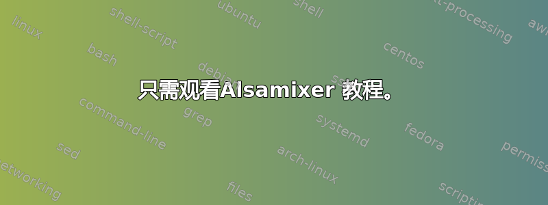 只需观看Alsamixer 教程。