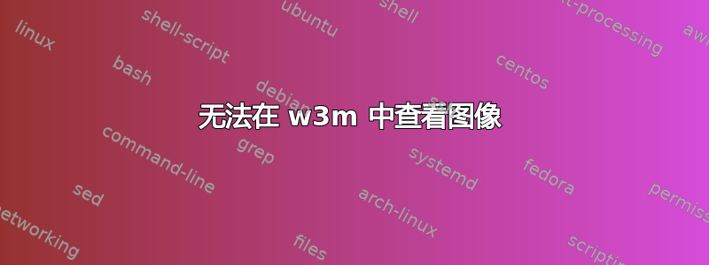 无法在 w3m 中查看图像