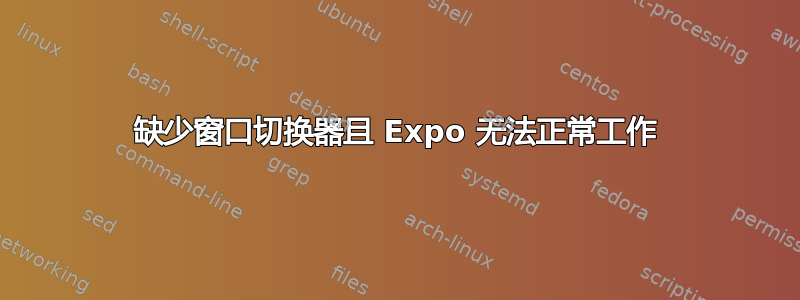 缺少窗口切换器且 Expo 无法正常工作