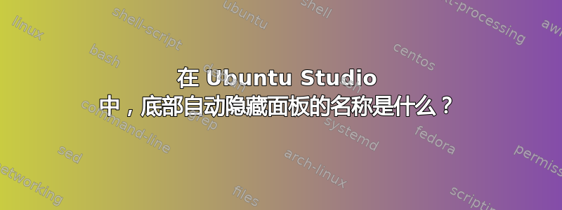 在 Ubuntu Studio 中，底部自动隐藏面板的名称是什么？