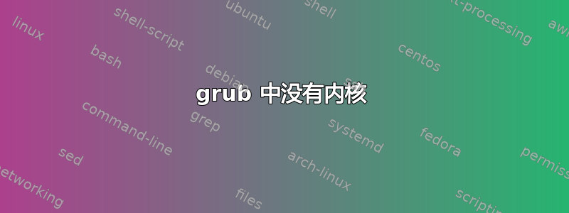 grub 中没有内核