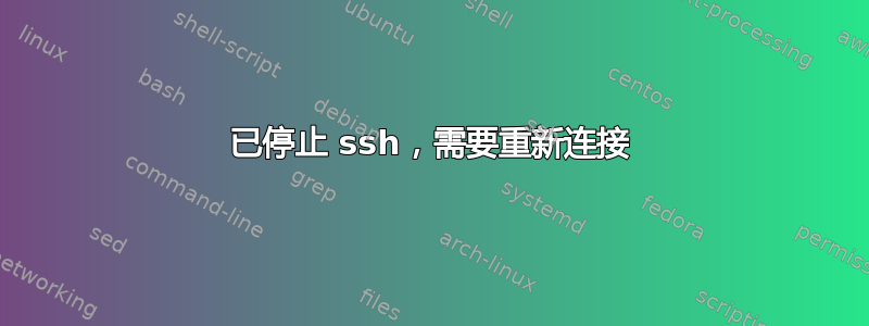 已停止 ssh，需要重新连接