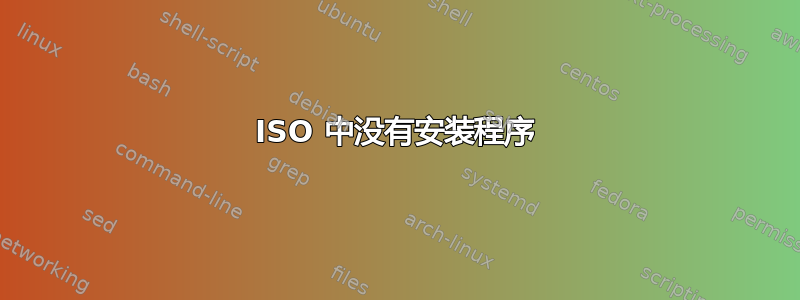 ISO 中没有安装程序