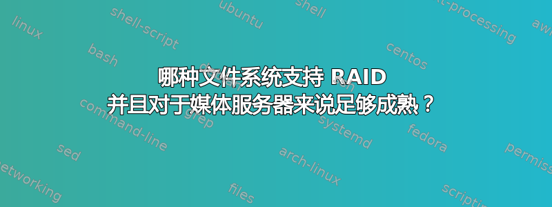 哪种文件系统支持 RAID 并且对于媒体服务器来说足够成熟？