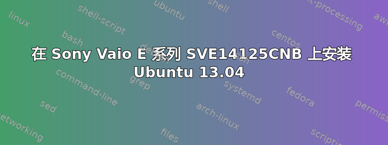 在 Sony Vaio E 系列 SVE14125CNB 上安装 Ubuntu 13.04 