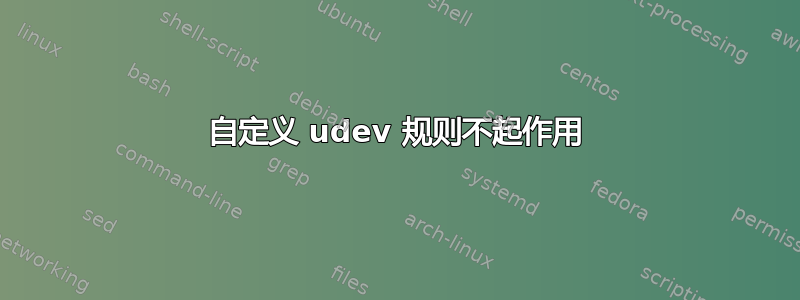 自定义 udev 规则不起作用