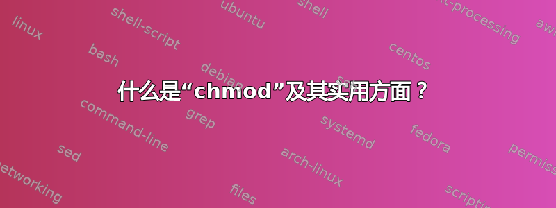 什么是“chmod”及其实用方面？