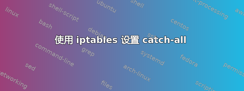 使用 iptables 设置 catch-all