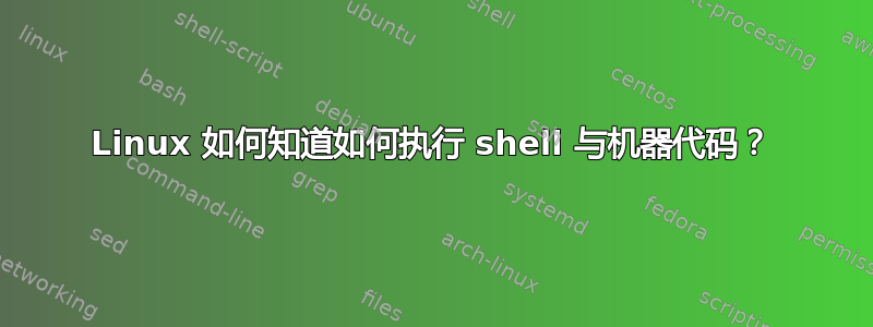 Linux 如何知道如何执行 shell 与机器代码？