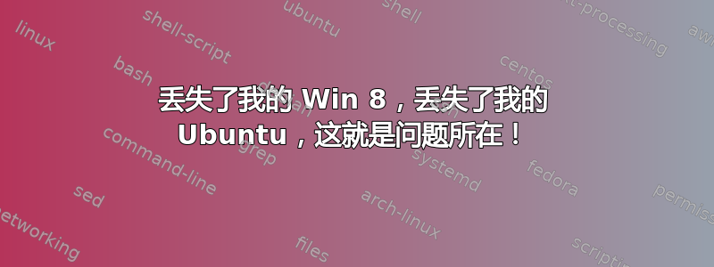 丢失了我的 Win 8，丢失了我的 Ubuntu，这就是问题所在！