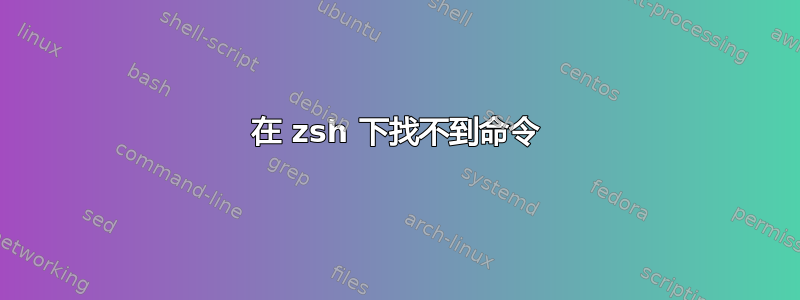 在 zsh 下找不到命令