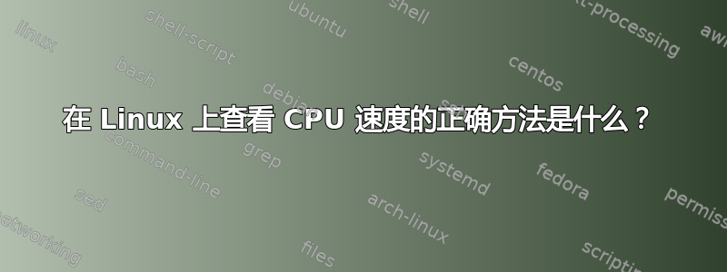 在 Linux 上查看 CPU 速度的正确方法是什么？