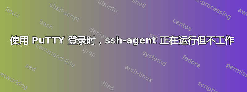 使用 PuTTY 登录时，ssh-agent 正在运行但不工作