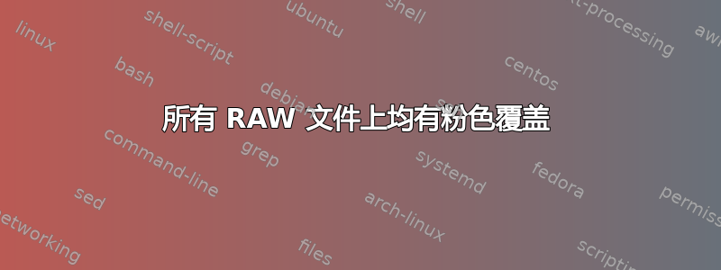 所有 RAW 文件上均有粉色覆盖