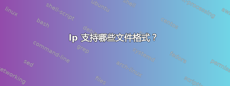 lp 支持哪些文件格式？