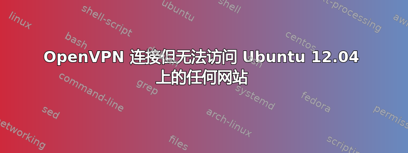 OpenVPN 连接但无法访问 Ubuntu 12.04 上的任何网站