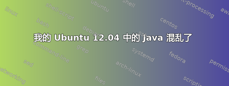 我的 Ubuntu 12.04 中的 Java 混乱了