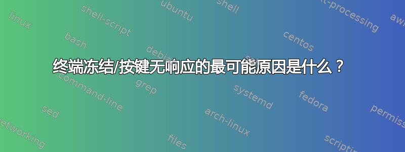 终端冻结/按键无响应的最可能原因是什么？