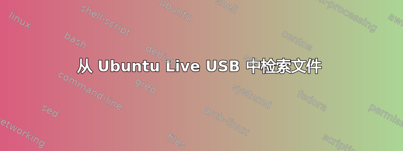 从 Ubuntu Live USB 中检索文件