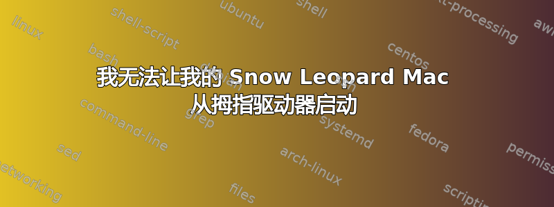 我无法让我的 Snow Leopard Mac 从拇指驱动器启动