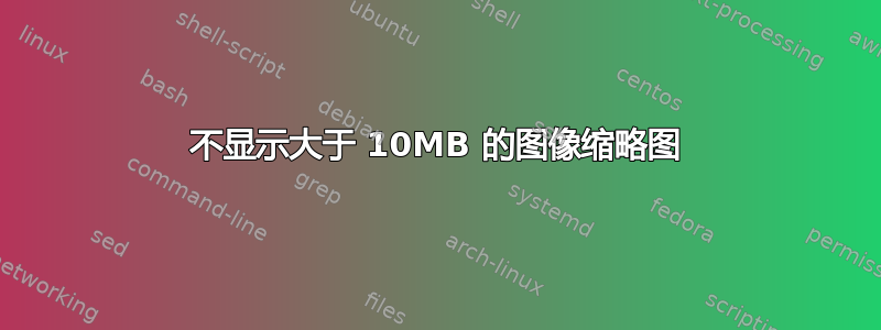 不显示大于 10MB 的图像缩略图