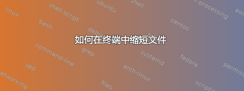 如何在终端中缩短文件