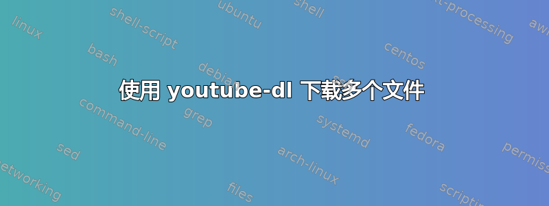 使用 youtube-dl 下载多个文件