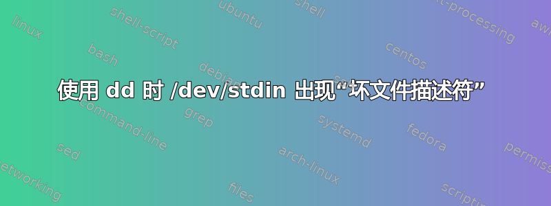 使用 dd 时 /dev/stdin 出现“坏文件描述符”