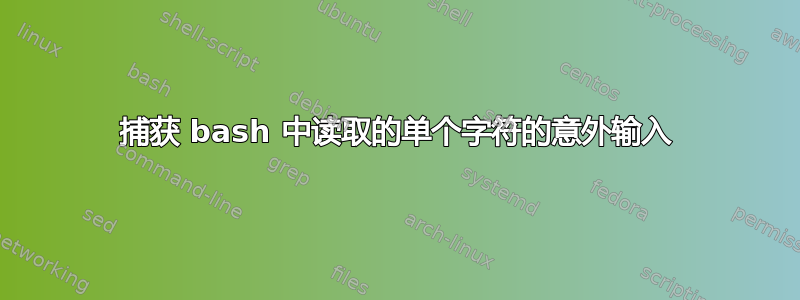 捕获 bash 中读取的单个字符的意外输入