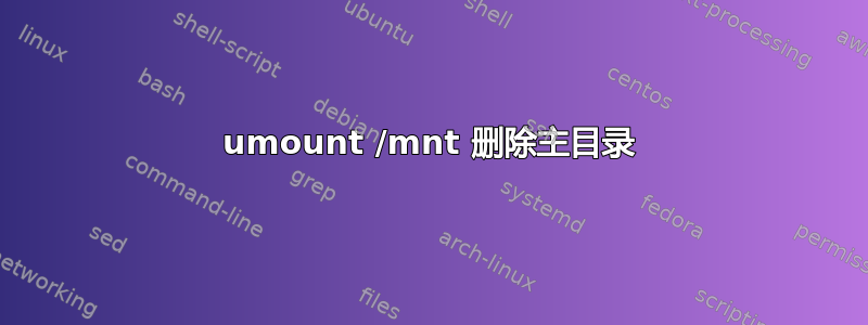 umount /mnt 删除主目录