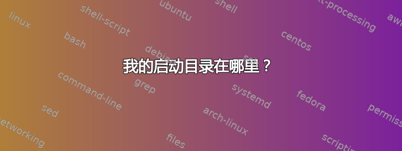 我的启动目录在哪里？