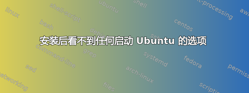 安装后看不到任何启动 Ubuntu 的选项