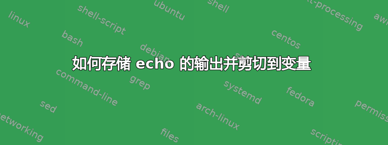 如何存储 echo 的输出并剪切到变量