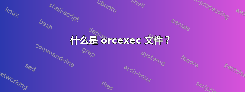 什么是 orcexec 文件？