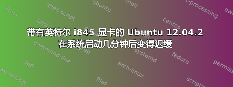 带有英特尔 i845 显卡的 Ubuntu 12.04.2 在系统启动几分钟后变得迟缓