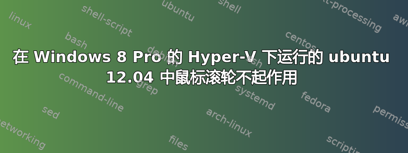 在 Windows 8 Pro 的 Hyper-V 下运行的 ubuntu 12.04 中鼠标滚轮不起作用