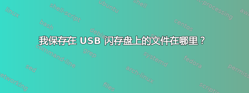 我保存在 USB 闪存盘上的文件在哪里？