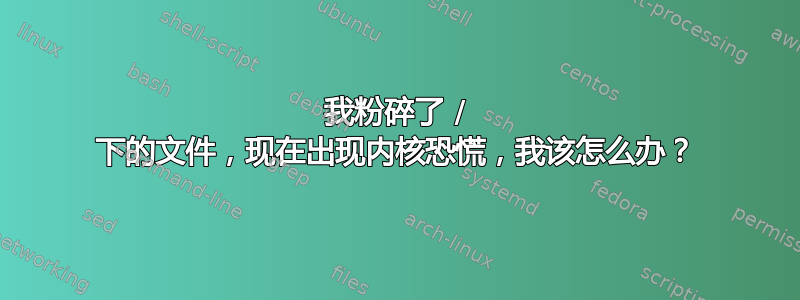 我粉碎了 / 下的文件，现在出现内核恐慌，我该怎么办？