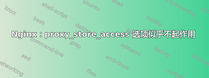 Nginx：proxy_store_access 选项似乎不起作用