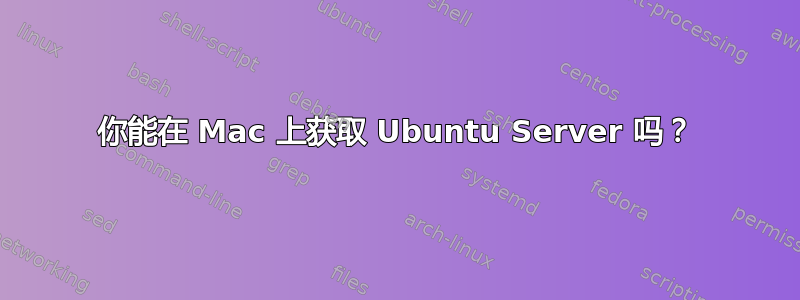 你能在 Mac 上获取 Ubuntu Server 吗？