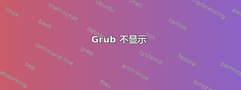 Grub 不显示