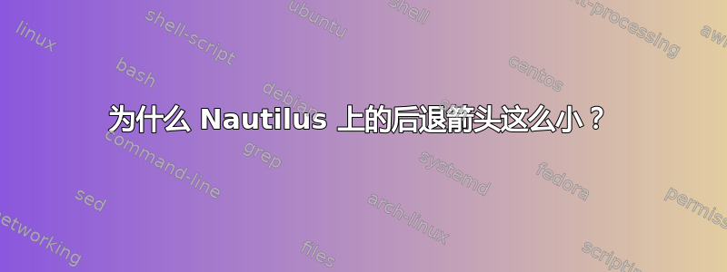 为什么 Nautilus 上的后退箭头这么小？